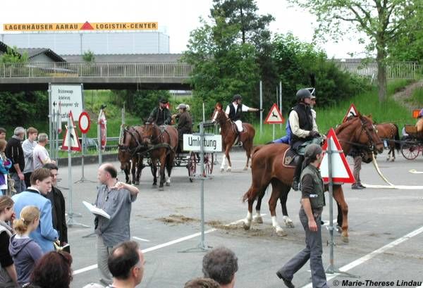 Pferdezuchtgenossenschaft ARIZONA Reitsektion der Offiziersges. Aargau